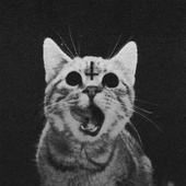 satansniece 的头像