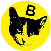avatars-000541480257-bj1fft-t500x500.jpg