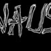 None