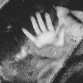 IMG_0558.jpeg