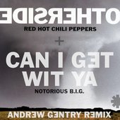 Can I Get Wit Ya (Otherside) - Single