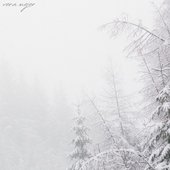 ab67616d0000b273ba0a87b0d7c71e5bc30ccc86.jpg