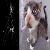 crusey cat artwork