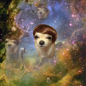 Avatar di bequick