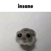 PulsarCubes 的头像