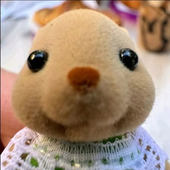 Avatar for gabilusky