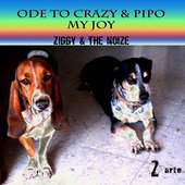 Ode to Crazy & Pipo (My Joy)