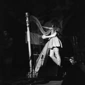 Joanna Newsom, live at 2009