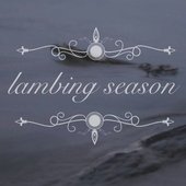 Lambing Season