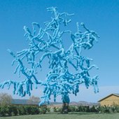 The Blue Tree