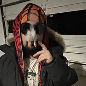 ‎