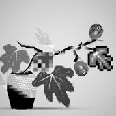 co10r