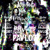 Pavlot_2000x2000.jpg