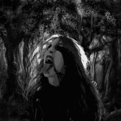 Forest Dream