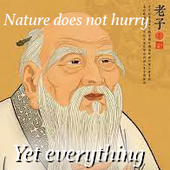 NotSalvadorDali 的头像