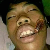 choodd 的头像