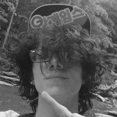 spotify avi.jpg