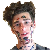 NoxWayyy 的头像
