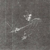 Taake