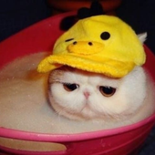 sp0ot 的头像