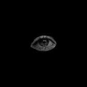 0015354475_10.jpg