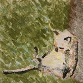 child dreams loulou