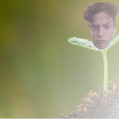 Finn being born