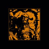 edited album cover for artist image without text