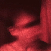 Avatar for pxdrop