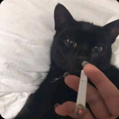 apnts 的头像