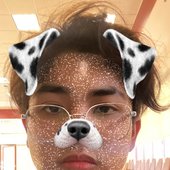 notgaydarren 的头像