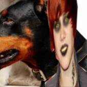 ‎