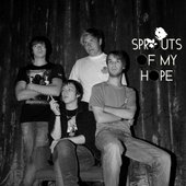 Sprouts of my hope