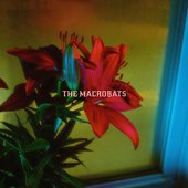 The Macrobats