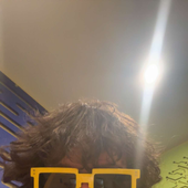 Jackthephrog7 的头像
