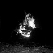 A Primitive Trait