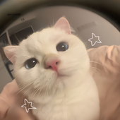 jinbz 的头像