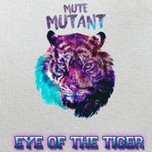 Eye of the Tiger