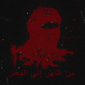 from the river to the sea (feat. Zia Ahmed) - Single