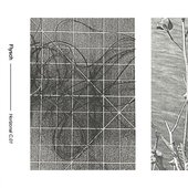 Flysch - Horizontal C. 01.jpg