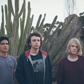 Cactus Injection Waterfall