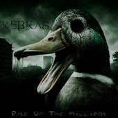 Rise Of The Mallards