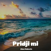 Pridji Mi