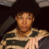 North Shy