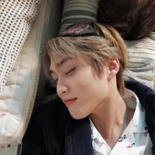 teddyfic 的头像