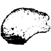 Iustus Ira logo