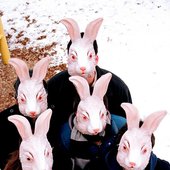 Rabbit Children
