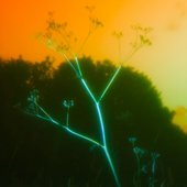 Golden (Sunrise Mix)