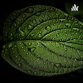 ab6765630000ba8a5baad6ba0b59f6358bcbc86f.jpg