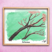 Arizona - Single